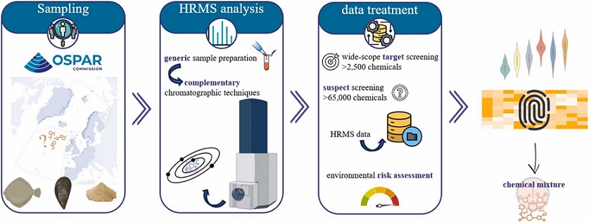 A graphical displyof the paragraph above