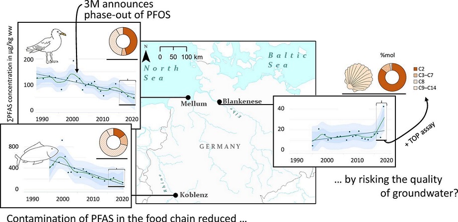 Kontamination mit PFAS in der Nahrungskette reduziert ... Grundwasserqualität riskiert? Vier Grafiken, die die Kontamination mit PFAS in der Nahrungskette und im Grundwasser veranschaulichen