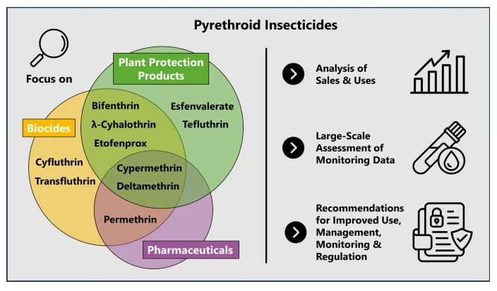 A graphic display of the paragraphs above