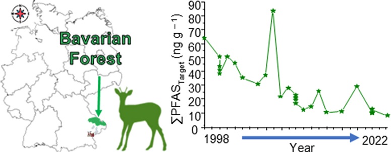A graphical display of the paragraphs above