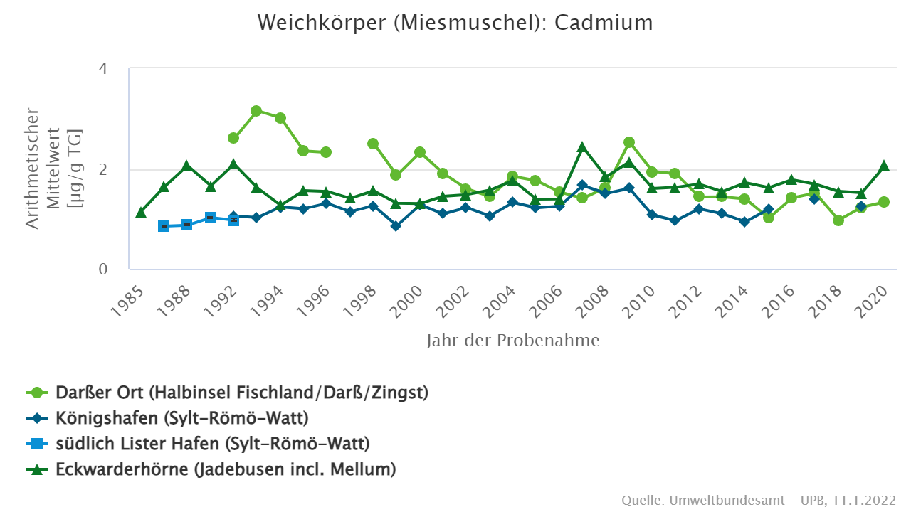 Bis 2011 höchste Cadmiumgehalte in Miesmuscheln von der Ostsee-Probenahmefläche Darßer Ort