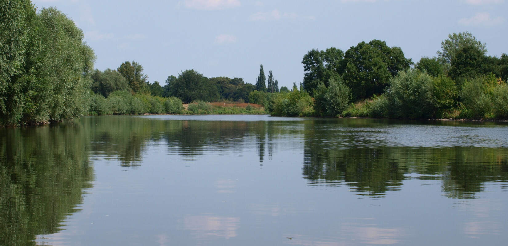 The river Saale near Wettin
