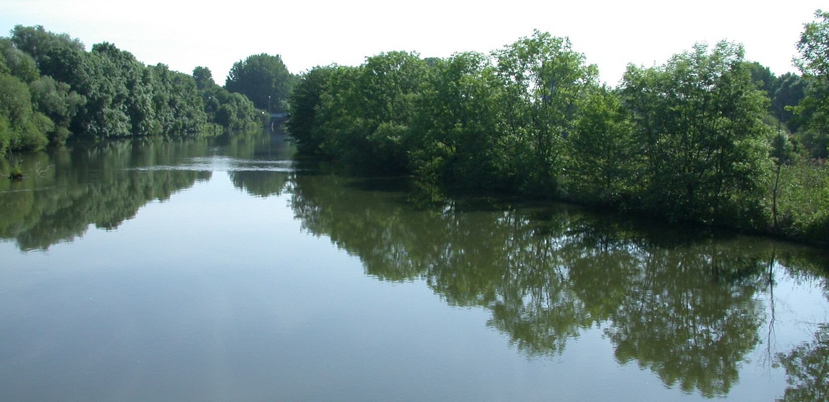 The river Danube near Ulm