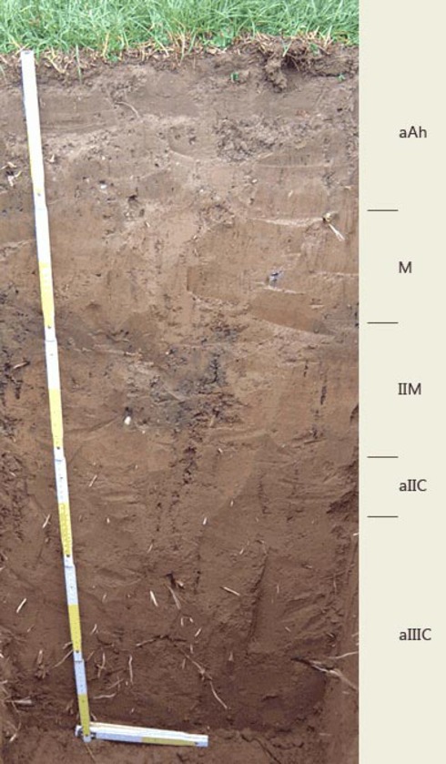 Soil profile of the sampling site SB-Staden; Photo FHG IME