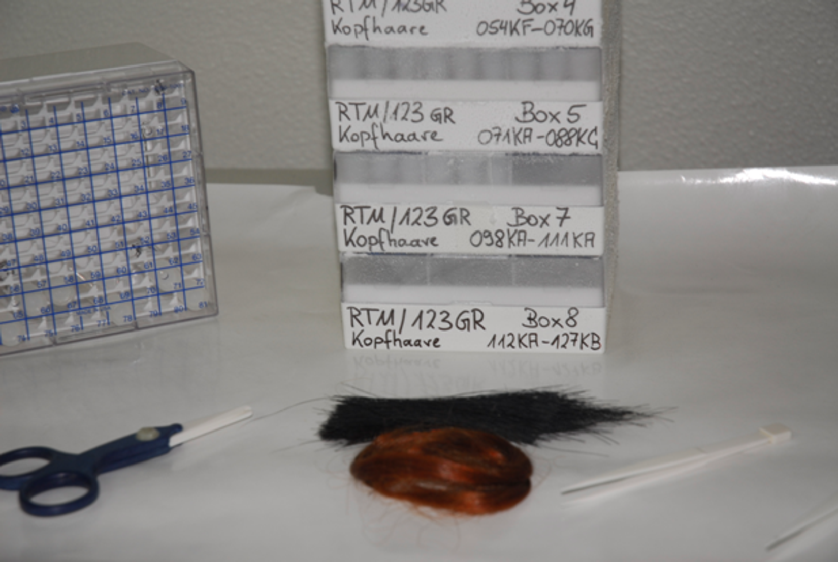 Scalp hair sample