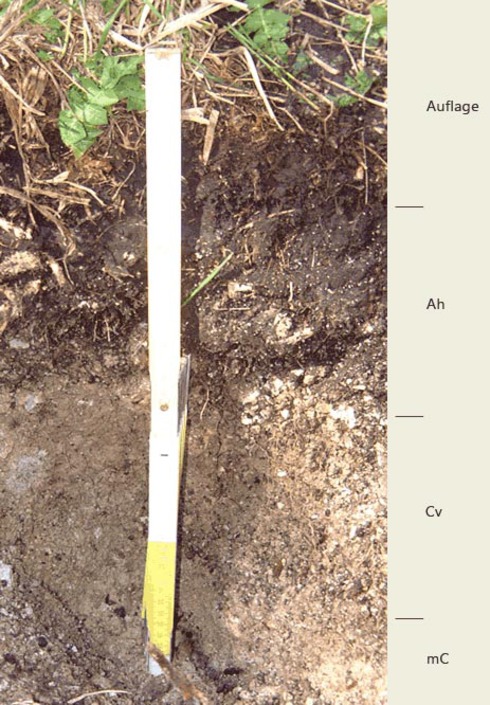 Soil profile of the sampling site Wimbachtal; Photo FhG IME