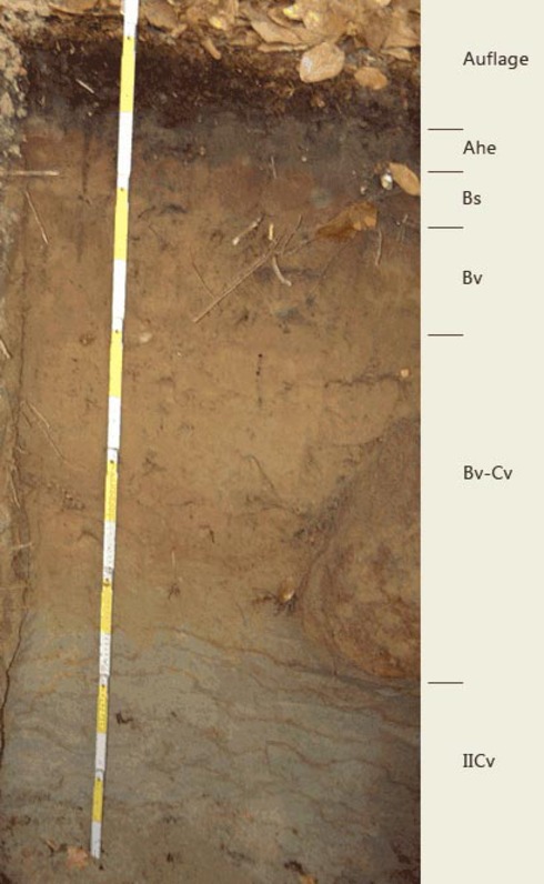 Soil profile of the sampling site Revier Lutherstein; Photo: FhG IME